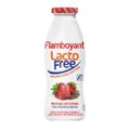 iog-flamboyant-lacto-free-mor-c-cereais-330g-1.jpg