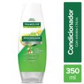 condicionador-palmolive-naturals-detox-energizante-350-ml-1.jpg