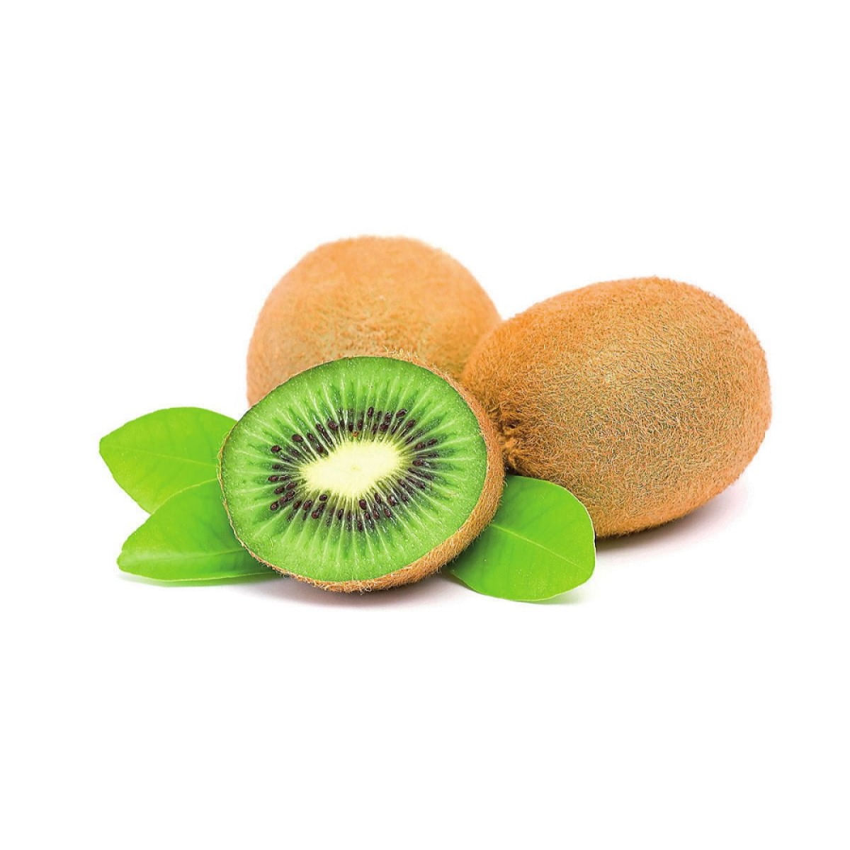 kiwi-fat-1.jpg