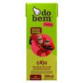 suco-do-bem-todo-dia-caju-200ml-1.jpg