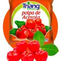 polpa-acerola-triang-fruit-100g-1.jpg