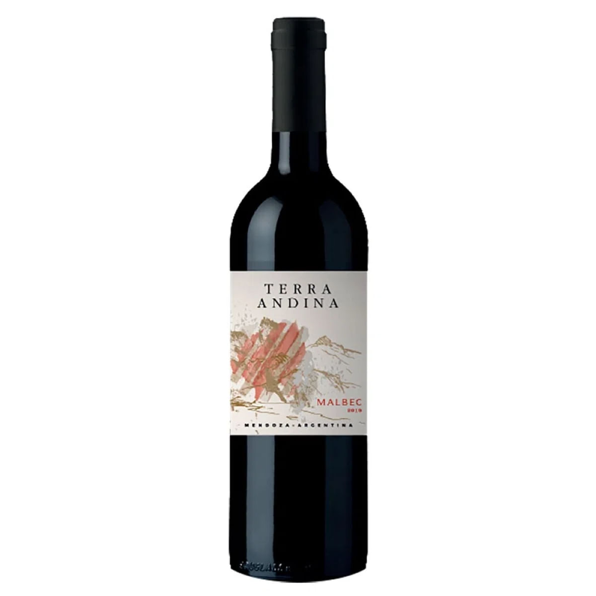 vinho-tinto-argentino-terra-andina-malbec-750-ml-1.jpg