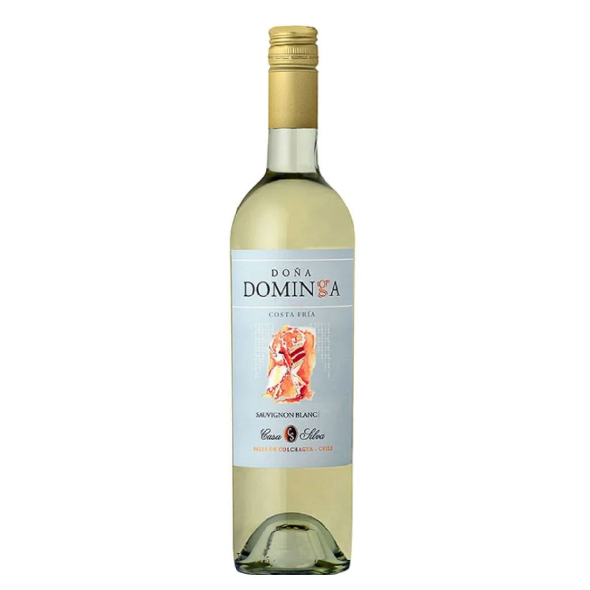 vin-chil-d-dominga-rsv-750ml-sauv-blanc-1.jpg