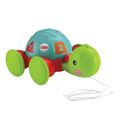 9331425_Empurra-Tartaruga-Fisher-Price-Y8652_1_Zoom