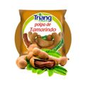 polpa-triang-fruit-tamarindo-100g-1.jpg