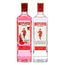 kit-de-gin-beefeater-dry-750ml---gin-beefeater-pink-750ml-1.jpg