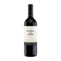 vinho-tinto-seco-casillero-del-diablo-2015-merlot-750ml-1.jpg