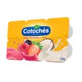 beb-lac-cotoches-540g-bj-frutas-vrm-coco-1.jpg