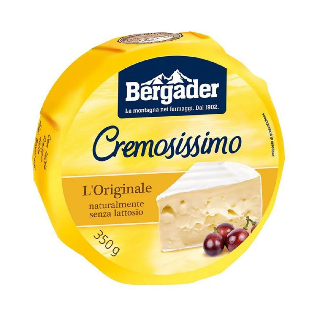 queijo-brie-ale-cremossissimo-bergader-350g-1.jpg