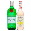 kit-gin-tanqueray-750-ml---xarope-monin-limao-700-ml-1.jpg