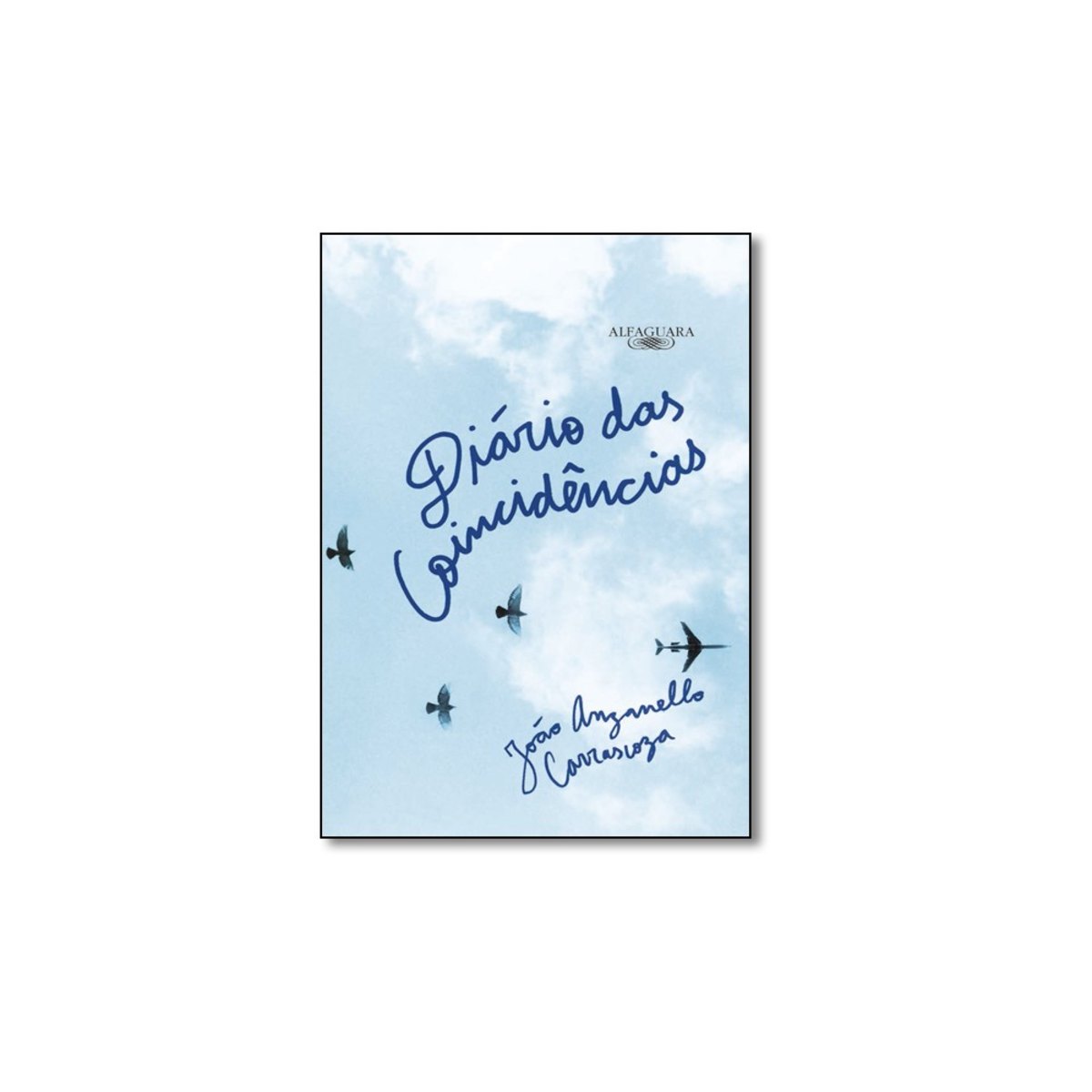 Livro - Diário Das Coincidências