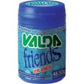 pastilhas-sem-acucar-valda-friends-pote-50-g-1.jpg