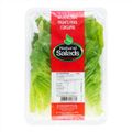 salada-alface-romana-natural-salads-150-g-1.jpg