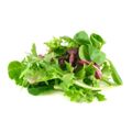 salada-mist-folha-verde-higienizada-200g-1.jpg