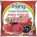 polpa-fruta-verm-triang-fruit-100g-1.jpg