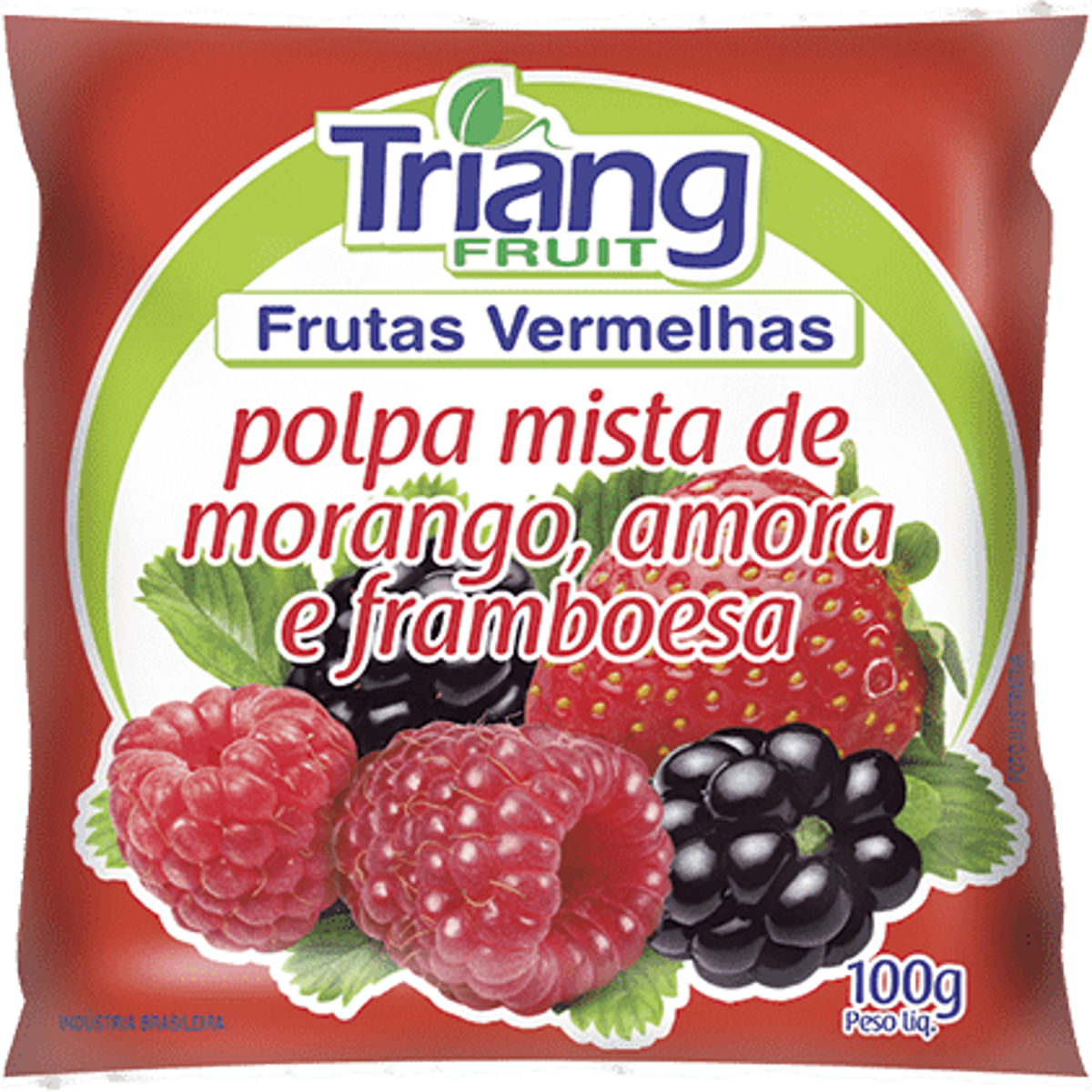 polpa-fruta-verm-triang-fruit-100g-1.jpg