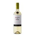 vinho-branco-chileno-casillero-del-diablo-sauvignon-blanc-reserva-750-ml-1.jpg