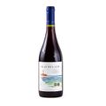 vinho-chileno-olas-del-sur-reserva-tinto-pinot-noir-750-ml-1.jpg