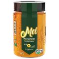 mel-organico-angico-480g-1.jpg