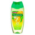 sabonete-liquido-energia-revitalizante-palmolive-250ml-1.jpg