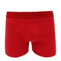 cueca-boxer-polo-word-p0012-verm-g-1.jpg