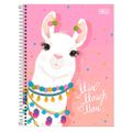 caderno-cd-univ-hello-10m-160fls-2.jpg