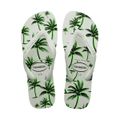 chinelo-masculino-havaianas-aloha-branco-41-42-1.jpg