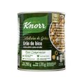 6086721_Grao-de-Bico-em-Conserva-Knorr-Saladinha-de-Graos-170g_1_Zoom