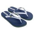 chinelo-ipanema-brasil-azul-tamanho-41-42-1.jpg