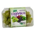 uva-organica-de-bastiani-organic-way-500g-1.jpg