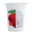 9565728_Iogurte-Desnatado-sem-Lactose-Verde-Campo-Lacfree-Morango-140g_1_Zoom