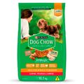 racao-dog-chow-ad-rp-10-1-gts-2kg-1.jpg