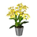 orquidea-oncidium-decorado-carrefour-1.jpg