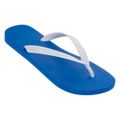 chinelo-ipanema-masculino-classico-azul-e-branco-39-40-1.jpg