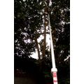 MP24912643_Podao-Super-Nishigaki-Angular-Telescopico-5mts-N-762-Nishigaki_4_Zoom