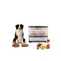 MP27145227_Desidratador-de-Alimentos-Wesoky-5-Bandejas-Prata-e-Transparente-110V_3_Zoom