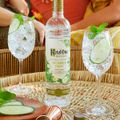 vodka-ketel-one-botanical-cucumber---mint-750ml-4.jpg