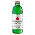 gin---tonic-tanqueray-london-dry-275ml-1.jpg