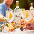 vodka-ketel-one-botanical-peach---orange-blossom-750ml-5.jpg