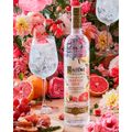 vodka-ketel-one-botanical-grapefruit---rose-750ml-5.jpg